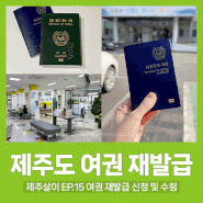 제주살이 EP.15 제주도청 여권 재발급 신청 및 수령