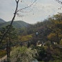 광주 곤지암 화담숲 및 모노레일 예매 벚꽃 나들이 후기