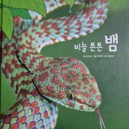 키즈스콜레 100일독서 독후활동 야호자연아 비늘튼튼뱀/비늘 단단 도마뱀