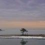 원더풀 월드 14회(마지막회) 촬영지- 대부도 미인송(소원나무), 일산 호수공원, 파주 벽초지 수목원, 상암 mbc