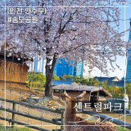 인천 가볼만한곳 송도 센트럴파크에서 사슴보기 보트타기 벚꽃놀이 야경감상