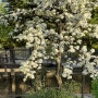 4월 봄날기록, 주말 양화한강공원 피크닉 임신27주차 남편이랑 선유도공원 출사사진🌿💚