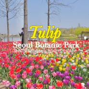 마곡 서울식물원/ 공원따라 펼쳐지는 한적한 튤립포토존