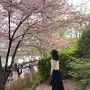 spring 🌸