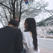 4월 일상1(왈츠와닥터만/ 벚꽃캠핑/ 청평 도선재/ 더강/ 코지앤레이지)