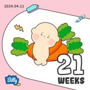 (21주) 임신 21주 증상 / 송파고은빛 정밀초음파 후기