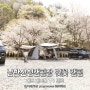 남한산성캠핑장 벚꽃 캠핑, 제드 네즈본 T4 텐트