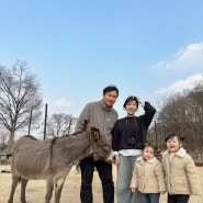 이천 동키스타즈(구 스카이밀크팜) 당나귀체험농장 기록