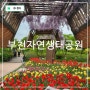 부천 놀거리 자연생태공원 식물원 무릉도원 수목원 튤립 봄꽃전시회