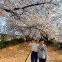 2024년 벚꽃구경, SK인천석유화학 벚꽃동산