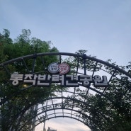 서울반려견놀이터 동작반려견공원 산책로 튤립보며 걸어요