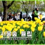 서울숲 튤립 향연, 4월 서울 가볼만한곳