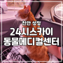 [천안 성정] 천안24시스카이동물메디컬센터 고양이 안과 검진 후기
