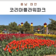 태안 가볼 만한 곳 안면도 세계 튤립꽃 박람회 코리안 플라워파크 꽃지해수욕장