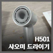센스만점 샤오미 가성비 드라이기 H501