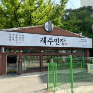 평창동 제주면장에서 고기 국수