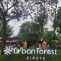 자카르타 도심 공원 Urban Forest Cipete
