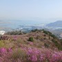국내 최고의 진달래꽃 군락지, 분홍색 물결, 전남 여수 영취산 등반