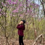 등린이 등산코스 추천 광교저수지~광교산 형제봉 코스(+진달래와 벚꽃은 덤)