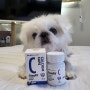10살 강아지 노견을 위한 칼슘 영양제 본아페티 칼슘캡스