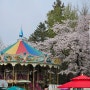 24년 4월 첫째주 벚꽃놀이 여의도 한강공원 어린이대공원
