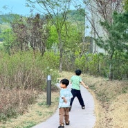 240408-240414 가족일기 / 정신 쏙 빠지는 하루하루