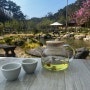 [강릉 카페] 서지초가뜰 넓은 뜰과 연못이 있는 한옥 카페