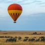 [EBS Power English] 24.4.16 African Safari: It Was an Eye-Opening Experience _아프리카 사파리 (파워잉글리쉬)