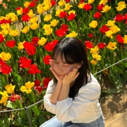 서울 서대문구 연희숲속쉼터 튤립 벚꽃 홍제폭포 주차