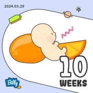 임신 10주,11주,12주 기록