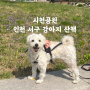 시천공원 : 인천 서구 강아지 산책하기 좋은 곳/ 봄나들이 피크닉장소