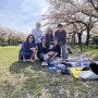 2024년 일본 타카라노 공원 하나미(벚꽃놀이) 타마 뉴타운