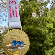 2024 경주 벚꽃 마라톤 하프코스 완주 후기🏃🏻♀️