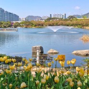김해가볼만한곳 연지공원 벚꽃 튤립 명소 부산 근교 피크닉