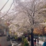 소요산에서 벚꽃엔딩