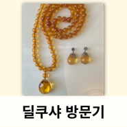 호박목걸이의 저자 딜쿠샤 관람 메리 테일러의 한국생활 25년의 삶 독립선언서 예약 관람