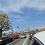 히메지성 벚꽃구경