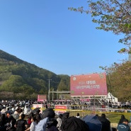 [국내여행/대전] 2024 대청호 대덕뮤직페스티벌 (대청호물빛축제) 구경하고 왔다 🐋 (D82, 너드커넥션, 멜로망스, 불꽃놀이+드론쇼)