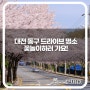 대전 동구 숨은 벚꽃 드라이브 명소