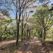 경기도 용인 등산 : 용뫼산 상갈공원 벛꽃 구경하며 둘레길 산책과 가벼운 초보 등산