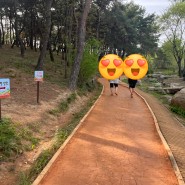 경북천년숲 맨발걷기장소 황토길추천