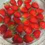 딸기세척 과일세척 딸기 씻는법 딸기 세척법 씻기