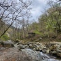 240406, 창원 아이와 가볼만한 곳 - 정병산 등산(길상사-내정병봉-용추계곡)