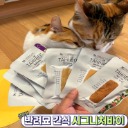 고양이 영양간식 타히보 고양이간식 시그니처바이