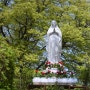 충남 아산 벚꽂성당으로 잘 알려진 꽃들이 만발한 아름다운 공세리 성당