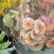 부산꽃도매시장 중앙꽃도매상가 위치 주차 이용후기