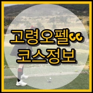 경북골프장 고령오펠cc 코스 정보 / 잔디 상태 / 라운딩 후기