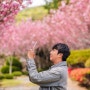 4월 거제 갈만한곳 경남 겹벚꽃 관음사 개화상태(24.04.14)