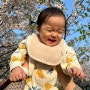 [14개월 아기]머리묶기 / 흥부자 / 벚꽃구경