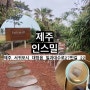 [제주] 인스밀 : 제주의 유명한 핫플 드디어 와봤어요❤️(feat. 보리개역)